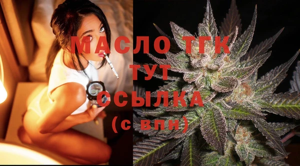 СК Алексин