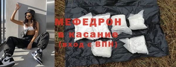 СК Алексин