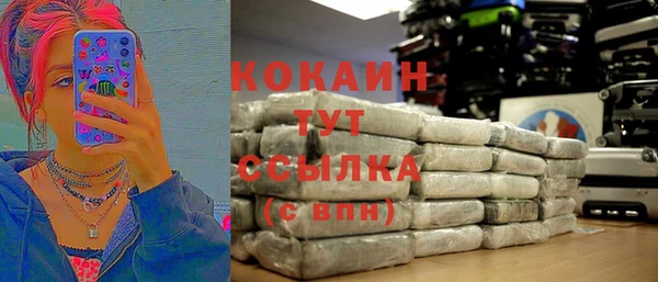 сатива Алексеевка